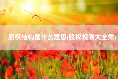 股权结构是什么意思(股权规则大全集)