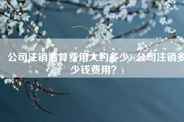 公司注销清算费用大约多少?(公司注销多少钱费用？)