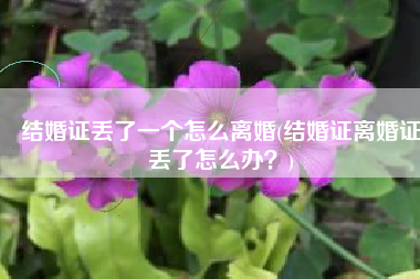 结婚证丢了一个怎么离婚(结婚证离婚证丢了怎么办？)