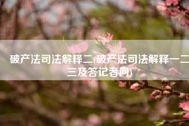 破产法司法解释二(破产法司法解释一二三及答记者问)