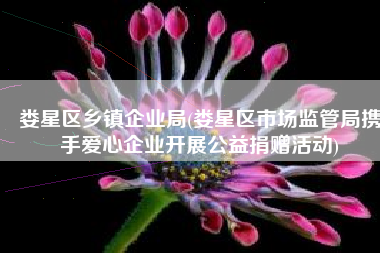 娄星区乡镇企业局(娄星区市场监管局携手爱心企业开展公益捐赠活动)