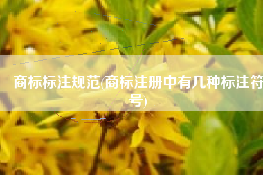 商标标注规范(商标注册中有几种标注符号)