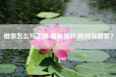 借条怎么写正规 借据图片(如何写借条？)