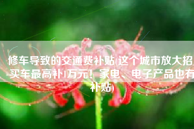 修车导致的交通费补贴(这个城市放大招！买车最高补1万元！家电、电子产品也有补贴)