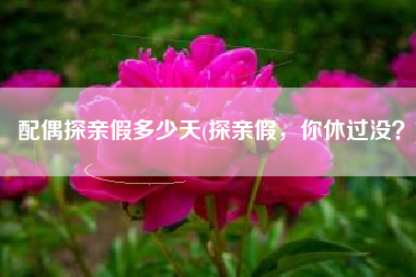配偶探亲假多少天(探亲假，你休过没？)