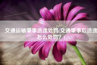 交通运输肇事逃逸处罚(交通肇事后逃逸怎么处罚？)