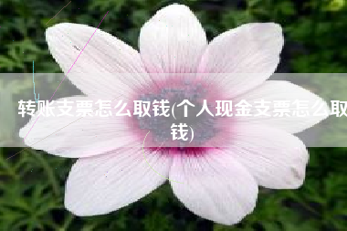 转账支票怎么取钱(个人现金支票怎么取钱)