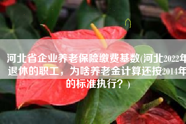 河北省企业养老保险缴费基数(河北2022年退休的职工，为啥养老金计算还按2014年的标准执行？)