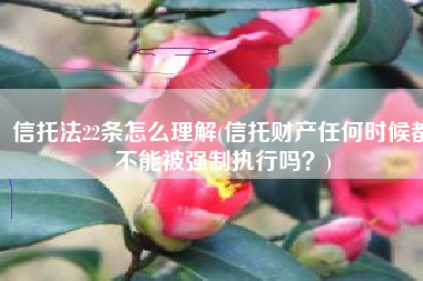 信托法22条怎么理解(信托财产任何时候都不能被强制执行吗？)