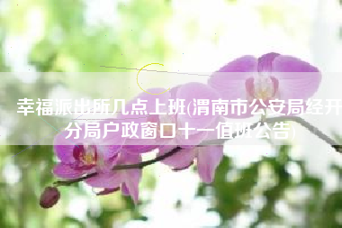 幸福派出所几点上班(渭南市公安局经开分局户政窗口十一值班公告)