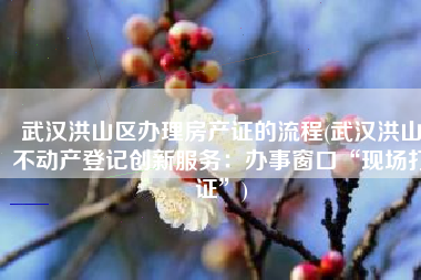 武汉洪山区办理房产证的流程(武汉洪山不动产登记创新服务：办事窗口“现场打证”)
