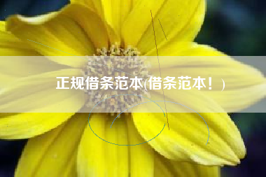 正规借条范本(借条范本！)