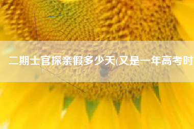 二期士官探亲假多少天(又是一年高考时)