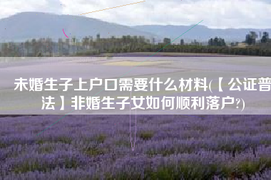 未婚生子上户口需要什么材料(【公证普法】非婚生子女如何顺利落户?)