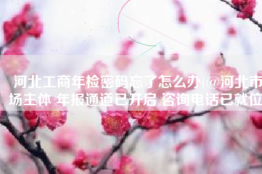河北工商年检密码忘了怎么办(@河北市场主体 年报通道已开启 咨询电话已就位)