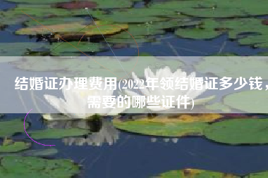 结婚证办理费用(2022年领结婚证多少钱，需要的哪些证件)