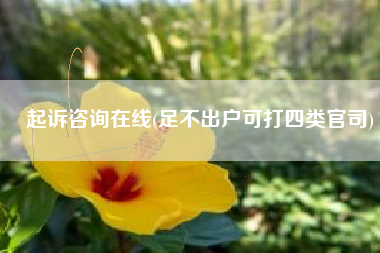 起诉咨询在线(足不出户可打四类官司)