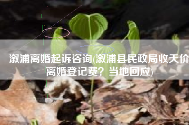 溆浦离婚起诉咨询(溆浦县民政局收天价离婚登记费？当地回应)