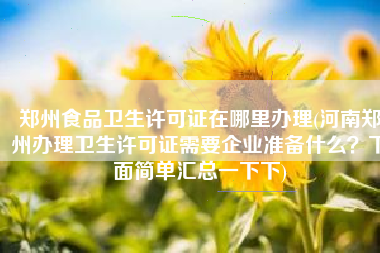 郑州食品卫生许可证在哪里办理(河南郑州办理卫生许可证需要企业准备什么？下面简单汇总一下下)