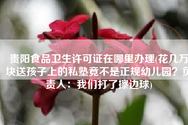 贵阳食品卫生许可证在哪里办理(花几万块送孩子上的私塾竟不是正规幼儿园？负责人：我们打了擦边球)