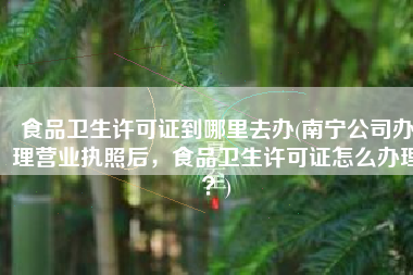 食品卫生许可证到哪里去办(南宁公司办理营业执照后，食品卫生许可证怎么办理？)