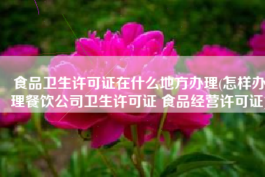 食品卫生许可证在什么地方办理(怎样办理餐饮公司卫生许可证 食品经营许可证)