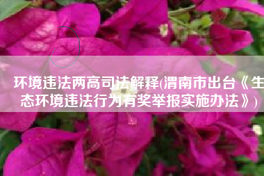 环境违法两高司法解释(渭南市出台《生态环境违法行为有奖举报实施办法》)