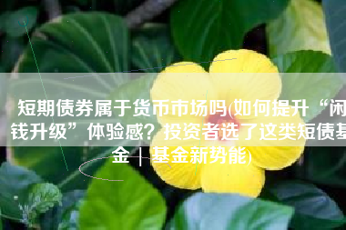 短期债券属于货币市场吗(如何提升“闲钱升级”体验感？投资者选了这类短债基金 | 基金新势能)