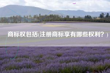 商标权包括(注册商标享有哪些权利？)