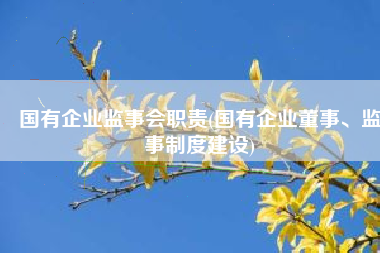 国有企业监事会职责(国有企业董事、监事制度建设)