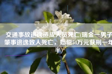 交通事故逃逸造成人员死亡(瑞金一男子肇事逃逸致人死亡，赔偿54万元获刑一年半)