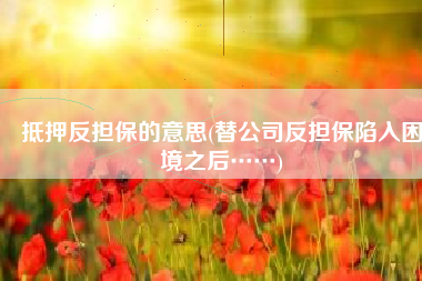 抵押反担保的意思(替公司反担保陷入困境之后……)