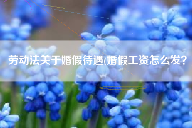 劳动法关于婚假待遇(婚假工资怎么发？)