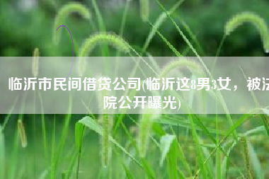 临沂市民间借贷公司(临沂这8男3女，被法院公开曝光)