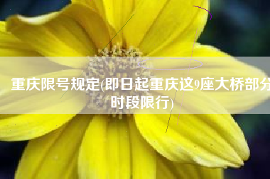 重庆限号规定(即日起重庆这9座大桥部分时段限行)