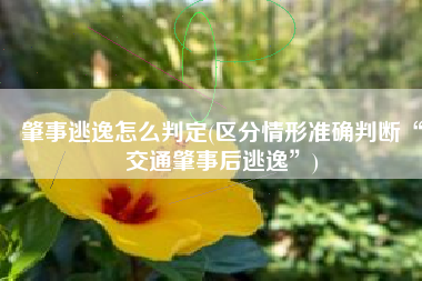 肇事逃逸怎么判定(区分情形准确判断“交通肇事后逃逸”)