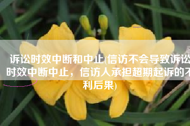 诉讼时效中断和中止(信访不会导致诉讼时效中断中止，信访人承担超期起诉的不利后果)