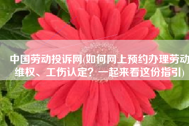 中国劳动投诉网(如何网上预约办理劳动维权、工伤认定？一起来看这份指引)