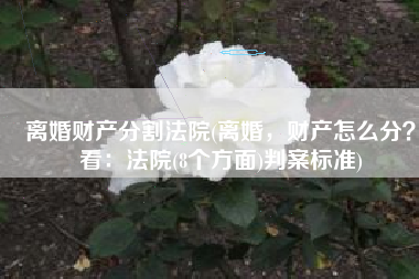 离婚财产分割法院(离婚，财产怎么分？看：法院(8个方面)判案标准)