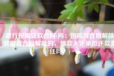 建行按揭贷款合同(问：因购房合同解除致借款合同解除的，借款人还承担还款责任吗？)