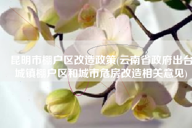 昆明市棚户区改造政策(云南省政府出台城镇棚户区和城市危房改造相关意见)