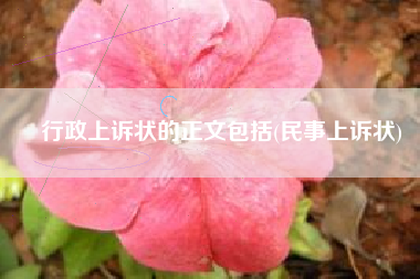 行政上诉状的正文包括(民事上诉状)