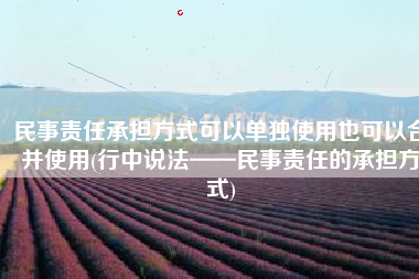 民事责任承担方式可以单独使用也可以合并使用(行中说法——民事责任的承担方式)