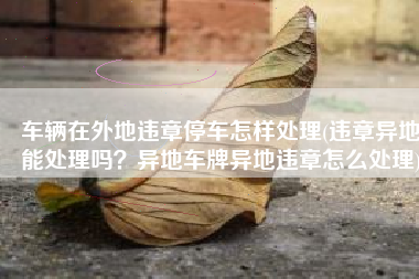 车辆在外地违章停车怎样处理(违章异地能处理吗？异地车牌异地违章怎么处理)
