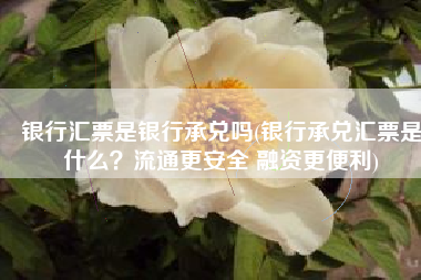 银行汇票是银行承兑吗(银行承兑汇票是什么？流通更安全 融资更便利)