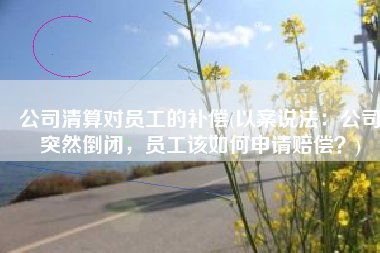 公司清算对员工的补偿(以案说法：公司突然倒闭，员工该如何申请赔偿？)