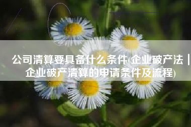 公司清算要具备什么条件(企业破产法｜企业破产清算的申请条件及流程)