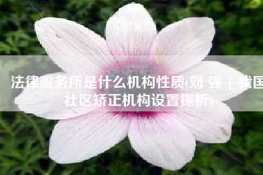 法律服务所是什么机构性质(刘 强 | 我国社区矫正机构设置探析)