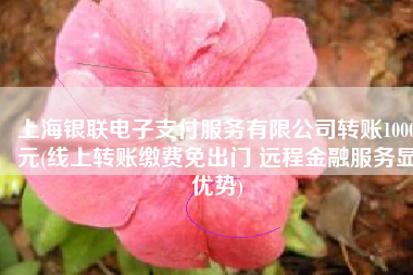 上海银联电子支付服务有限公司转账1000元(线上转账缴费免出门 远程金融服务显优势)