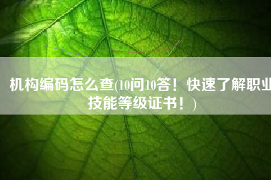 机构编码怎么查(10问10答！快速了解职业技能等级证书！)